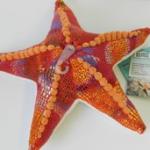 Plush Toy Starfish