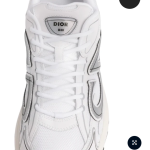 Dior B30 White Grey