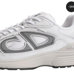 Dior B30 White Grey
