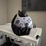 Night Fury Xbox Controller Stand