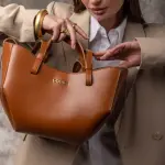 Azai Camel