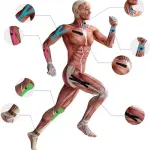 M D Stay Fit MD Cotton Elastic Muscle Tape 5M - Multi Color