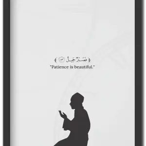 فصبر جميل