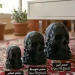 Fractured Skull Sculpture