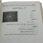 أشهى الأكلات
