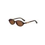 DIORTREASURE R1i