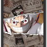 Luffy - Wanted