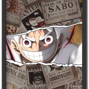 Luffy - Wanted