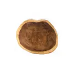 Wood tree trunk coffee table