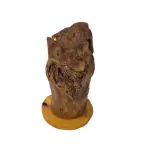 Unique Tree Trunk Wood lamp Natural vintage style Handcrafted – One Piece