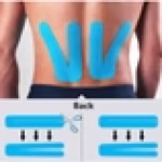 M D Stay Fit MD Cotton Elastic Muscle Tape 5M - Multi Color