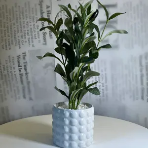 Ivory Bubble Olive