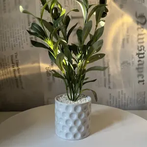 Fallen Olive Accent