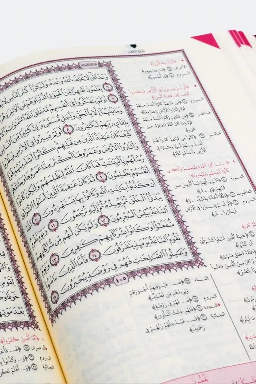 الزهراوان في متشابهات القرآن