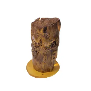 Unique Tree Trunk Wood lamp Natural vintage style Handcrafted – One Piece