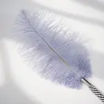 Plush Ostrich Plume Tickle Stick