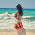 Majestic Orange Rush