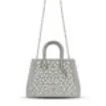 Serpent Handle Evening Bag VS-55