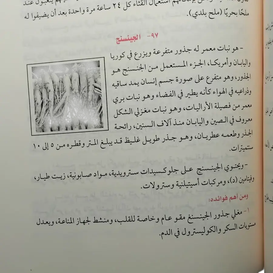 الطب البديل