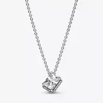 Pandora necklace