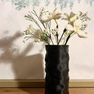 The fuzzy vase