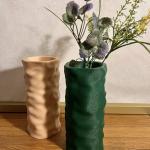 The fuzzy vase