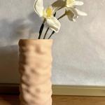 The fuzzy vase