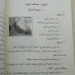 أشهى الأكلات