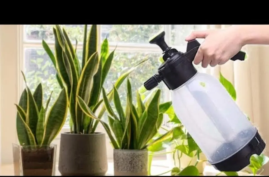بخاخ ضغط يدوي (3لتر)