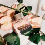 My Burberry Blush