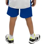Basketball Boy's Blue Short