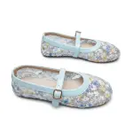 Floral Embroidered Lace Ballerina Flats BN-63