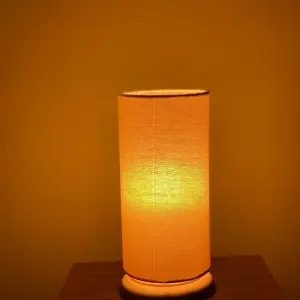 Modern Table Lamp TLM20