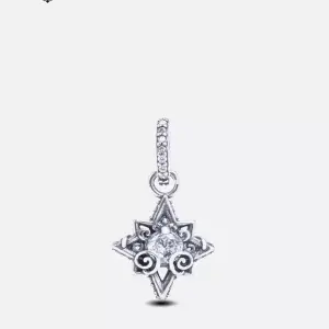 pandora charms