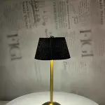 NOIR Pleated Brass Lam