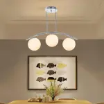 Modern Ceiling Lamp BL06