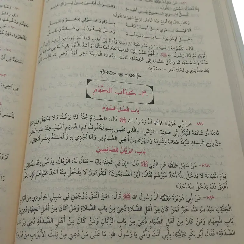 مختصر صحيح البخاري