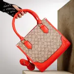 LEATHER HAND BAG COACH BG-4