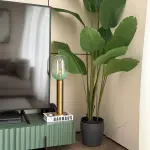 Cove Designs  Eclipse