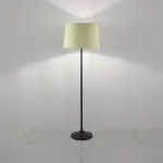 Modern Floor Lamp TA216