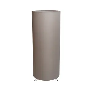 Modern Floor Lamp
