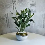 Golden Olive Planter