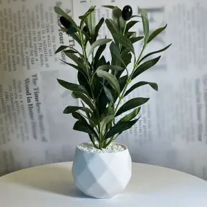 Olive Touch Planter