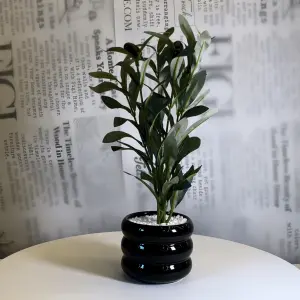 Midnight Olive Planter