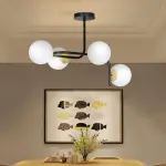 Modern Ceiling Lamp ArkM003
