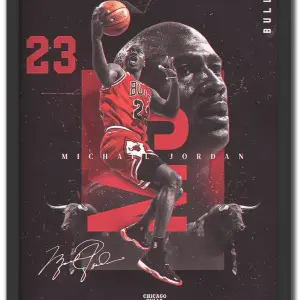 Michael Jordan - Bulls