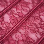 Red Floral Lace Sculpting Corset