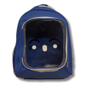 Transparent Square Backpack