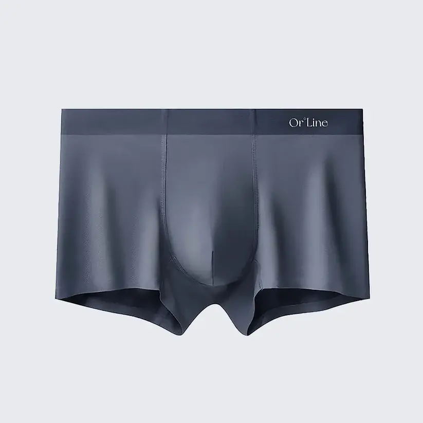 Men's 60s Modal Boxer Shorts Mid Rise Breathable Spring Summer