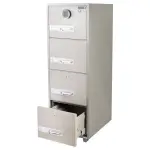 Bumil Safe - DSF680/4ED